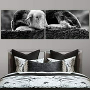 Color-Banner 2 Pieces Modern Canvas Wall Art Black and White Sleeping Lamb for Living Room Home Decorations - 24"x36" x 2 Panels
