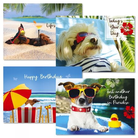 Paradise Birthday Greeting Cards - Set of 12 (4 designs), Large 5