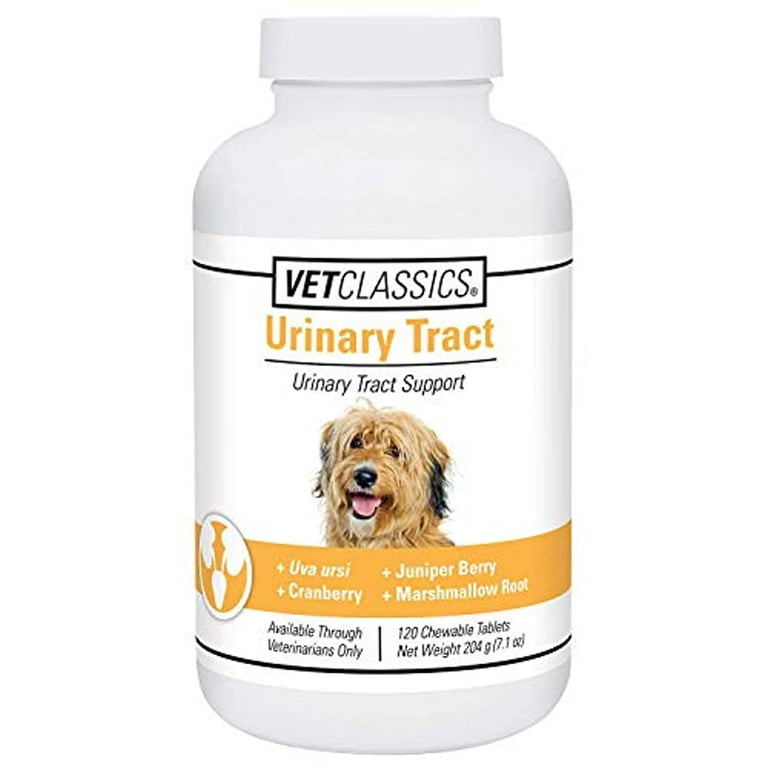 Dog Uti Home Remedies Apple Cider Vinegar