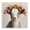 Flower Crowned Goat, variant on Stupell Industries Farmhouse Blossom Babe Cattle Canvas Art, 17 x 17, by Sara G. Designs