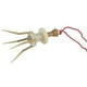 thumbnail image 4 of Sonducket Herramienta de pesca Insecto de latón atrapado en cebo Cebo vivo Gadget de pesca Nuevo Clip de gusano de sangre de cobre portátil Pescar, 4 of 6
