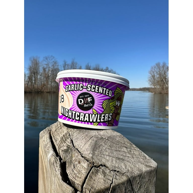Buy The Worm Dude Brand Live Canadian Nightcrawlers 2.5 Pounds - #1 Fishing  Nightcrawler in the World. Catch Big Fish With These BIG Worms. Keep Well  In The Fridge. Raise Your Own