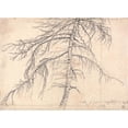 thumbnail image 2 of James Ward 14x11 Black Ornate Wood Framed Double Matted Museum Art Print Titled: Larch Tree, 2 of 5