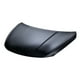 thumbnail image 1 of Cofre Altima 2017 A 2018 Nissan Aluminio TONG YANG ., 1 of 4