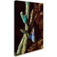 thumbnail image 2 of Trademark Fine Art "Fish in the Rocks" Canvas Art by Kurt Shaffer, 2 of 3