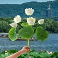 thumbnail image 6 of Artificial Realistic Lotus Flower Bouquet, High-Quality Lotus Decoration, Durable Artificial Flowers, Suitable For Home Altars And Meditation Spaces, Realistic Petal Design, 6 of 6