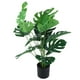 thumbnail image 1 of Planta Artificial De Monstera, Planta Artificial En Maceta De Larga Duración, 80 Cm, 18 Hojas Para Oficina, 1 of 7