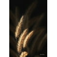 thumbnail image 2 of Deiter, Lori 11x14 White Modern Wood Framed Museum Art Print Titled - Golden Grass III, 2 of 4