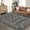 Black, variant on 9'x12' Area Rugs Washable for Living Room Bedroom,Boho Vintage Bohemian Distressed Oriental Non Slip Soft Carpet for Dining Room Green