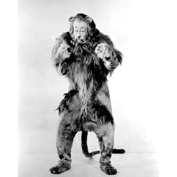 The Wizard of Oz Bert Lahr pulling punches as The Cowardly Lion 4x6 photo