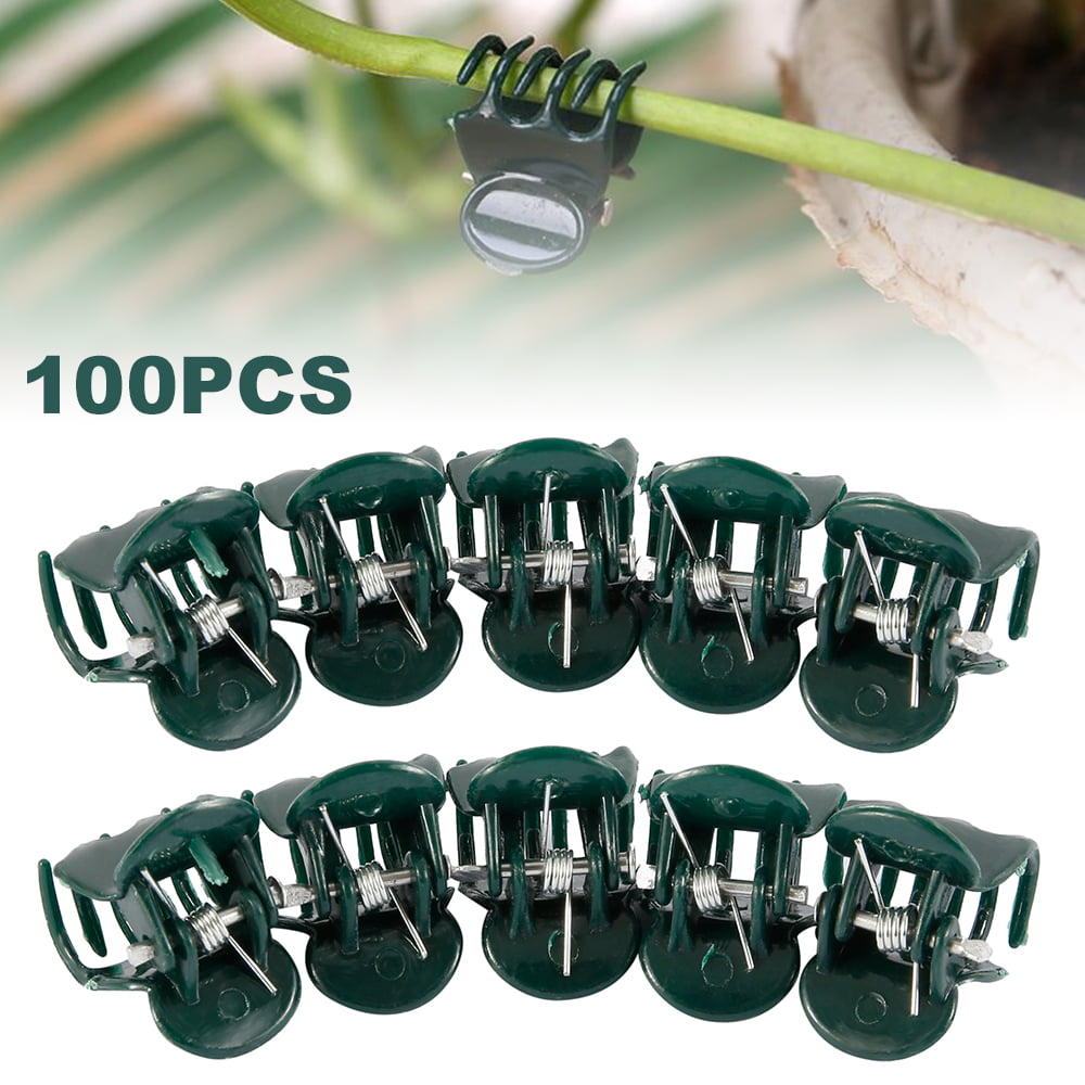 100PCS Orchid Clip Plant Clips Plant Support Sticks for Vine Plant Garden Flower 