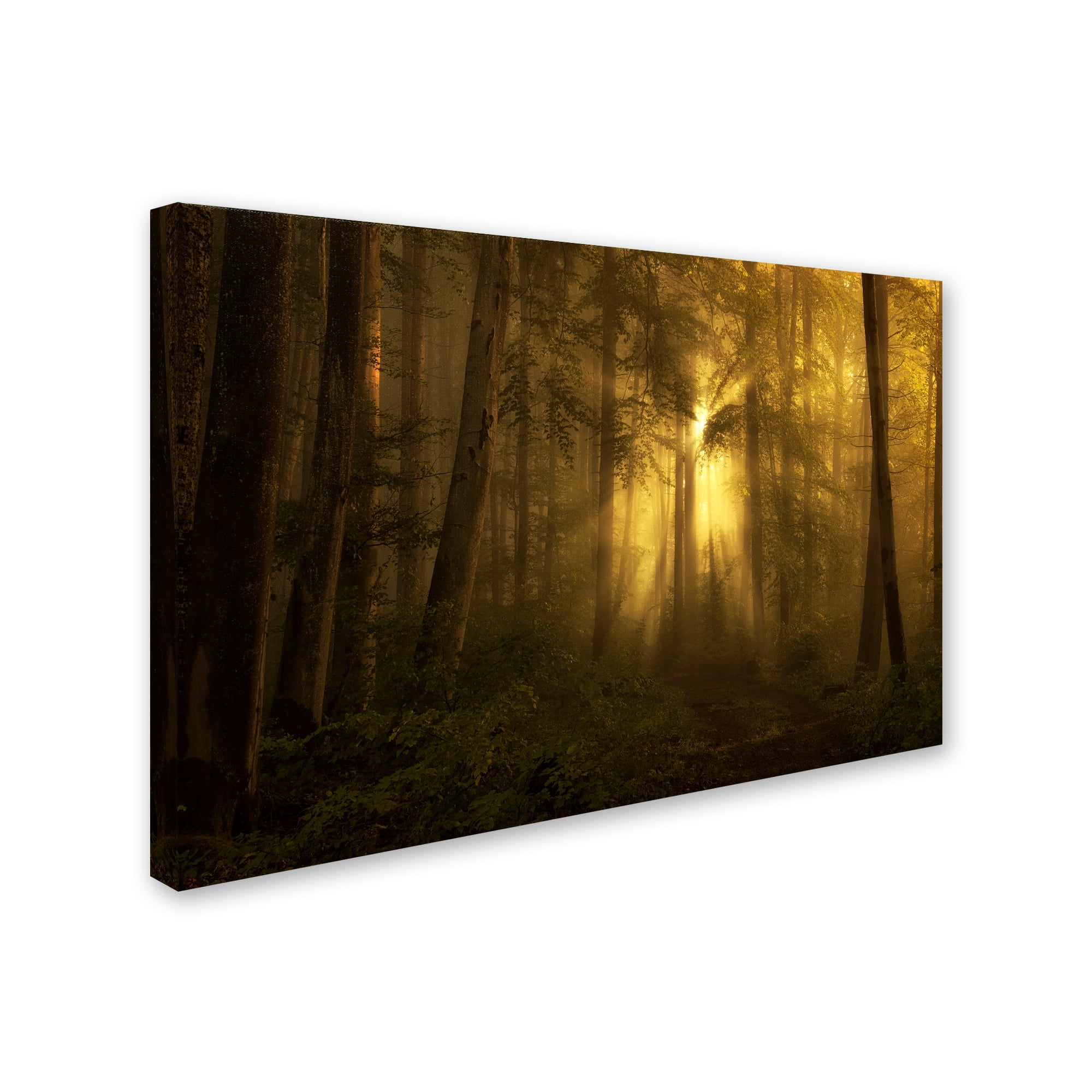 Trademark Fine Art 'Yellow The Bigger Picture' Canvas Art by Norbert Maier