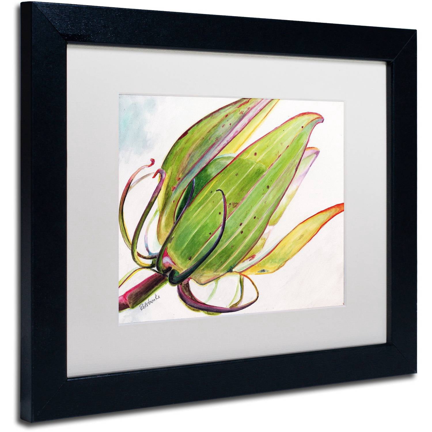 Trademark Fine Art "Flower Pod" Canvas Art by Jennifer Redstreake White Matte, Black Frame