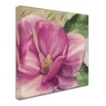thumbnail image 3 of Trademark Fine Art "Pink Magnolia II" Canvas Art by Color Bakery, 3 of 4