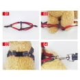 thumbnail image 5 of Meidiya No Pull Dog Harness and Leash Set with Collar - Adjustable Basic Harness for Small Medium Large Dogs, 5 of 7