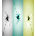 thumbnail image 3 of Ambesonne Abstract Duvet Cover Sets, Different Daisy Flower, 2-King, Avocado Green Turquoise, 3 of 7