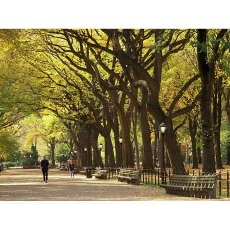 People Walking Through Central Park in Autumn, NYC Print Wall Art By Walter (Best Places To Walk In Nyc)