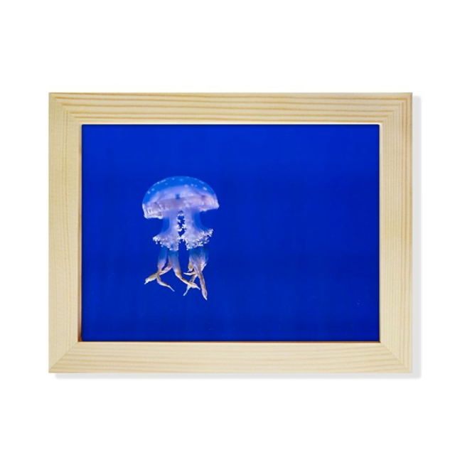 Ocean medusas ciencia naturaleza foto Escritorio de madera Arte Pintura 6x8 pulgadas marco de foto foto