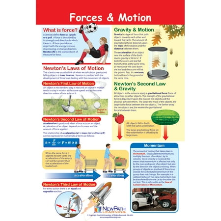 Forces & Motion Poster