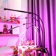 thumbnail image 2 of Växtlampa, växtlampa med stativ, 4-huvud trädgårdsodlingslampa, fullspektrum växtlampa med USB-laddningskabel, 2 of 5