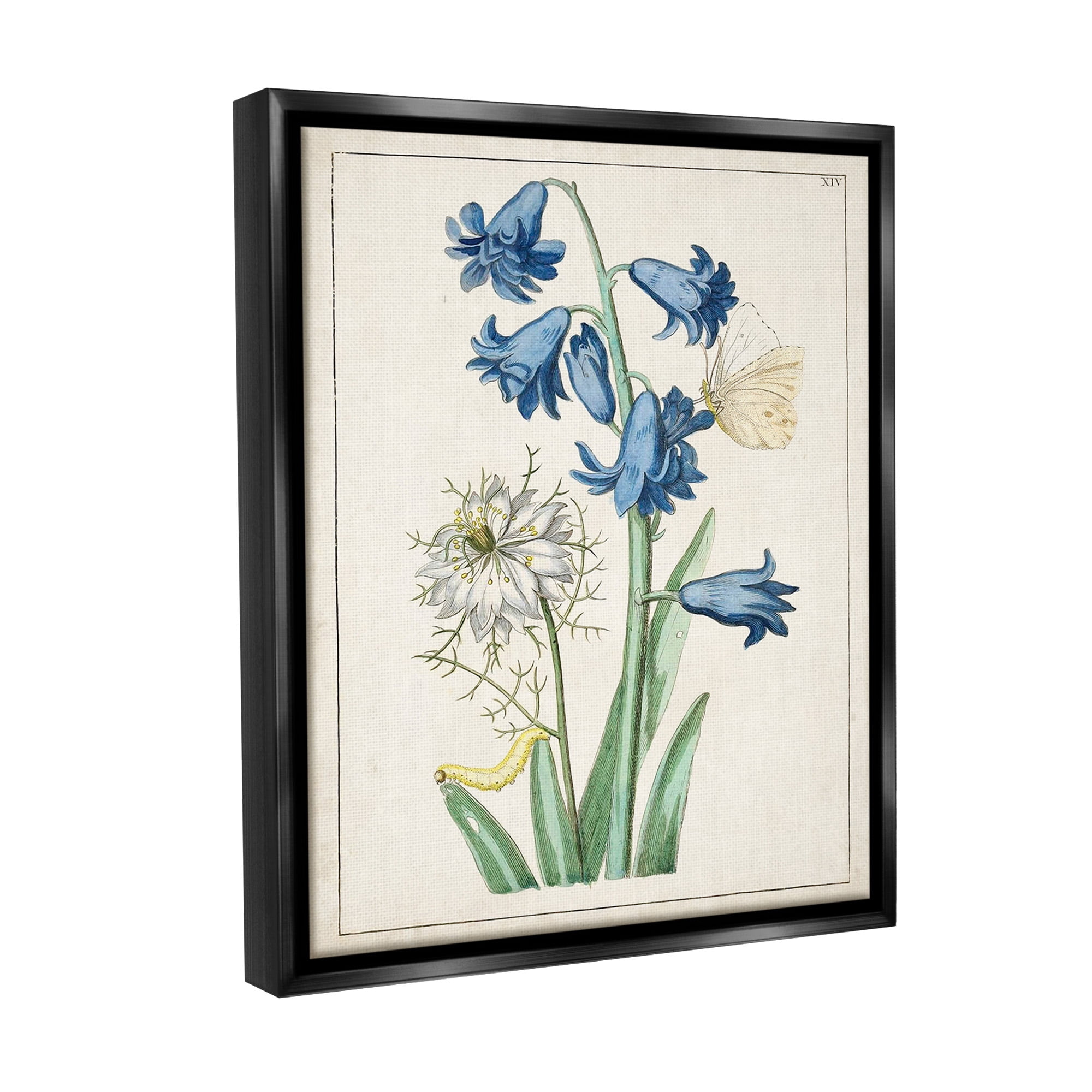 Stupell Industries Nature Bulbs with Moth Botanical & Floral Painting Black Floater Framed Canvas Art Print Wall Art, 25 x 31
