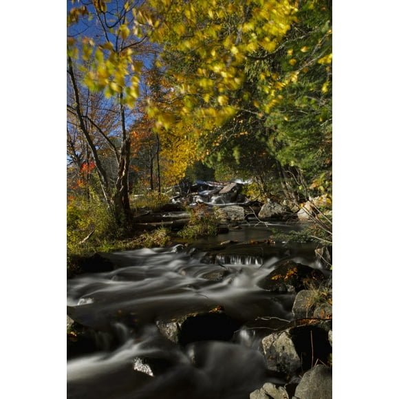 Alqonquin Provincial Park In Autumn, Ontario, Canada Poster Print (22 x 34)