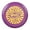 Purple, variant on Wham-O Frisbee Cool Flyer Flying Disc, 9.95 Inch Lightweight Toy for Kids Teens Boys Girls Ages 5+ Outdoor Beach Park Backyard Game - 130g