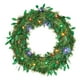 thumbnail image 1 of Corona Naviplastic Corona Boa color Verde de 50 cm, 1 of 2