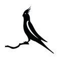 thumbnail image 1 of Decoración de hierro | Arte metálico | Arte de jardín | Arte de patio trasero | Arte de árbol | Arte de | Metal negro recubierto kusrkot estatua de silueta, 1 of 7