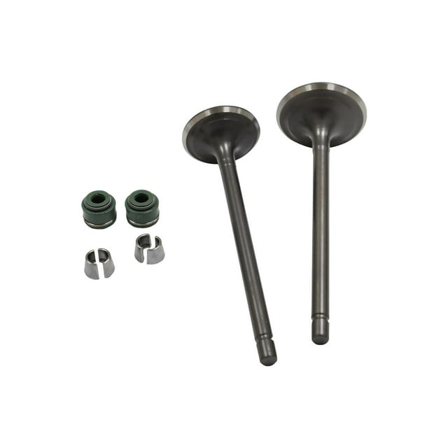 Valvulas Adm/Esc Set Vento Crossmax 250 (20-21) (Wstd)