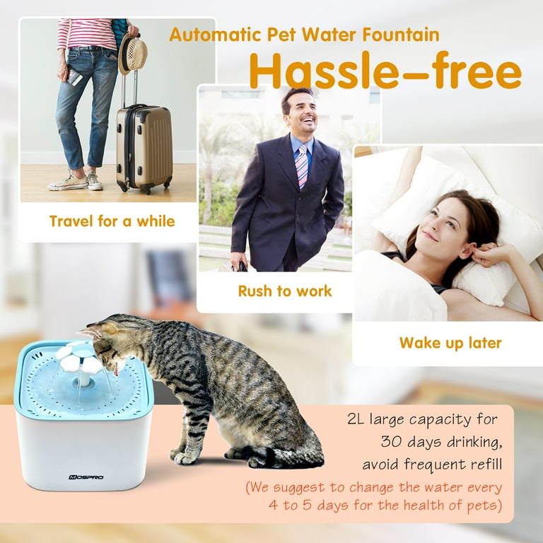 Mospro water fountain hot sale