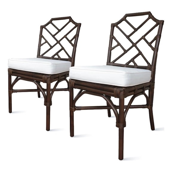 NPD Furniture Kara 21" Fabric and Rattan Chair in Brown (Set of 2)