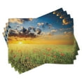 thumbnail image 1 of Ambesonne Nature Place Mats Set of 4, Sunset at Meadow Poppy, Standard Size, Red Green Blue, 1 of 6