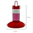 Songbird Essentials Dr JB's Hummingbird Feeder for Nectar 16 oz. All Red