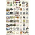 thumbnail image 2 of Picture Peddler Introduction to Rocks Geology Educational Science Classroom Chart Print Poster 24x36, 2 of 4