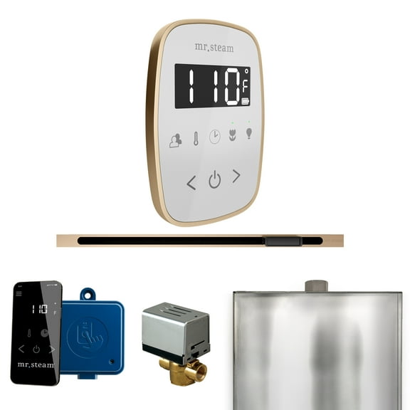 Mr Steam ButlerFlex Steam Shower w/TempoFlex Control and Linear Steamhead in White Brushed Bronze