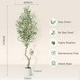 thumbnail image 3 of 7ft Olive Trees Artificial Indoor,Tall Fake Plants with 96 Lifelike Olive Fruits & 1152 Dense Leaves,Faux Plants in White Imitation Ceramic, Perfect for Modern Home Decor,1pack, 3 of 8
