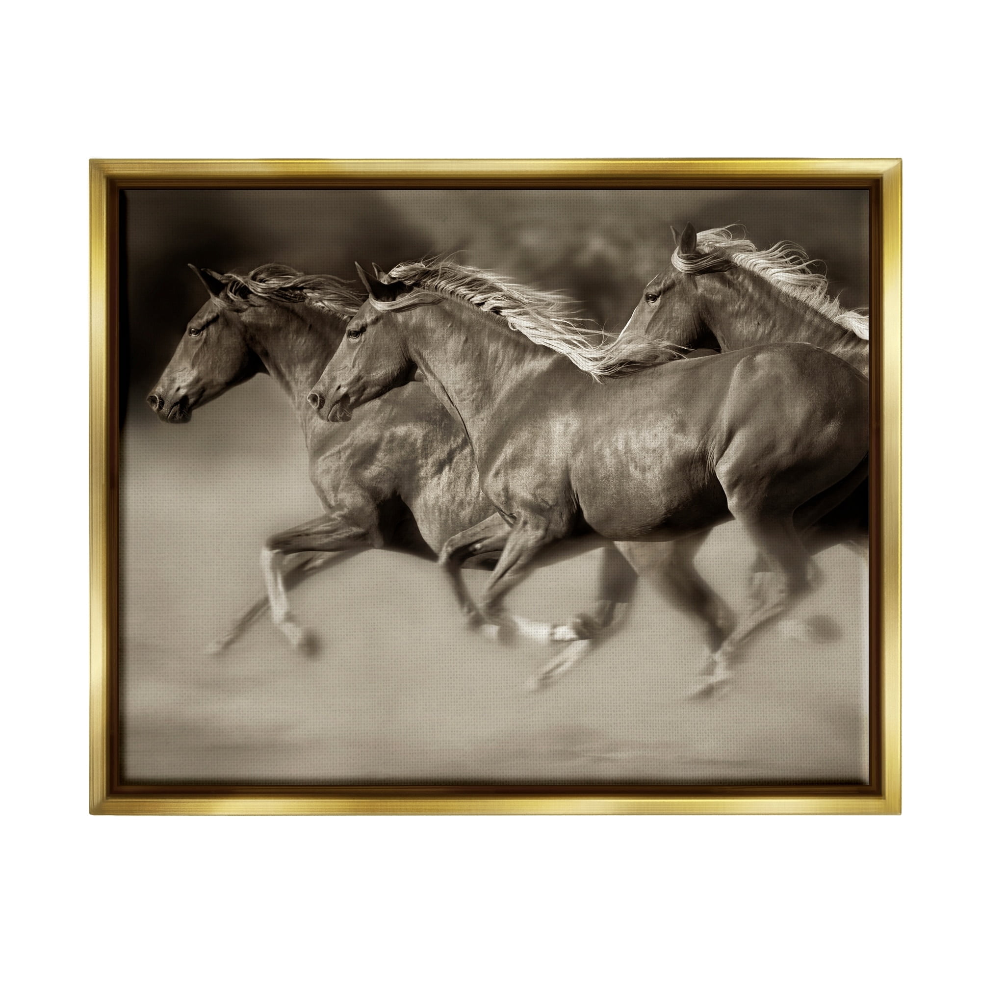 Stupell Industries Galloping Horse Herd Trotting Wild Animal Photography Photograph Metallic Gold Floating Framed Canvas Print Wall Art, Design by Lisa Dearing
