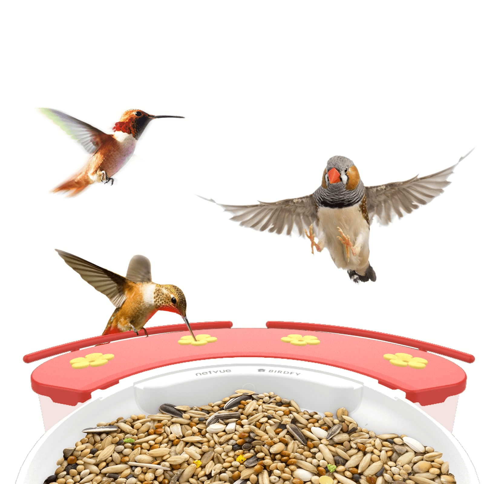 NETVUE Birdfy Add-ons, Hummingbird Feeder Extension, 18.3 oz Hummingbird Feeders Perch Easy Filling & Easy Cleaning
