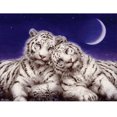 thumbnail image 1 of 30x40cm 5D Full DIY Diamond Painting, Serie de animales, DIY Diamond Rhinestone Canvas Punto de cruz Pintura por número para decoración de pared Adultos niños ER, 1 of 5