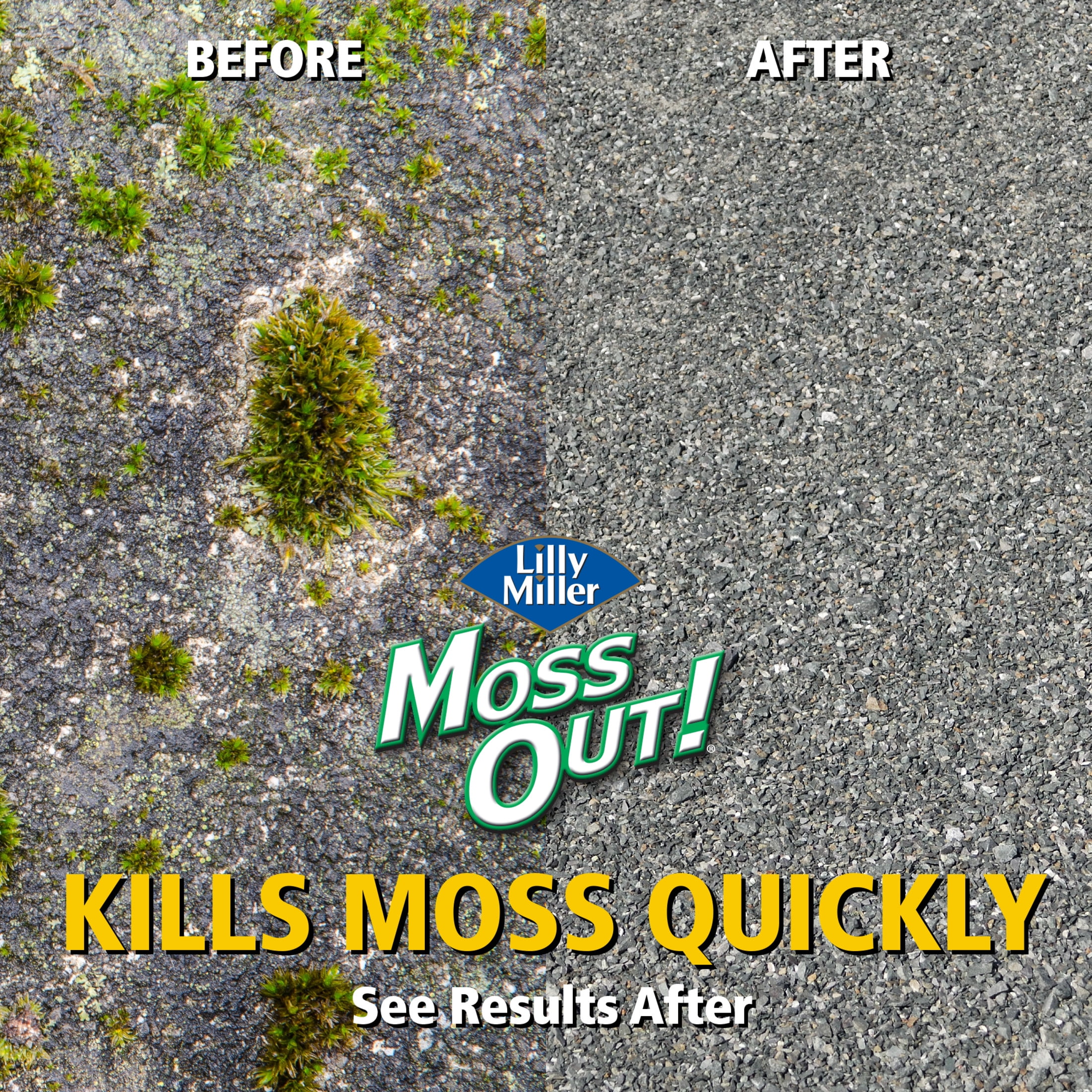 Lilly Miller Moss Out! Roofs And Walks Concentrate 54 Ounces