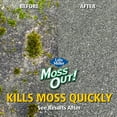 thumbnail image 5 of Lilly Miller Moss Out! Roofs And Walks Concentrate 54 Ounces, 5 of 7