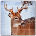 thumbnail image 1 of Picture-Tiles.com: Deer Ceramic Tile Wall Mural WAL500447-66S. 25.5"W x 25.5"H using (36) 4.25" x 4.25" Ceramic Tiles-Satin Finish, 1 of 3