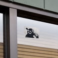 thumbnail image 5 of Headphone Chimp Monkey Wall Home Business Office Sign, 5 of 7
