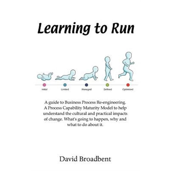 Learning To Run - A Guide To Business Process Re-engineering (Paperback)