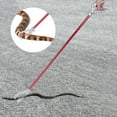 thumbnail image 1 of Serpent Pliable, Grappin à Reptiles, pour Reptile, 1 of 8