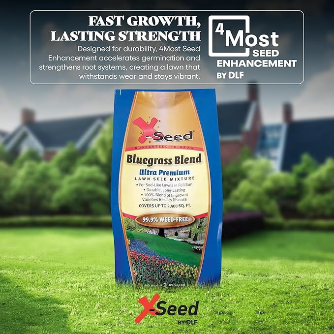 X-Seed Bluegrass Lawn Seed Blend with 4Most Seed Enhancement by DLF - Fast-Growing, Drought-Tolerant,Cool-Season Grass Seed for Thick, Green Lawns, 3 lbs.Covers up to 4,900 sq. feet, 99.9% Weed Free