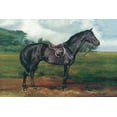 thumbnail image 2 of Hageman, Marilyn 14x11 White Modern Wood Framed Museum Art Print Titled - Black Horse, 2 of 4