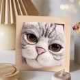thumbnail image 4 of Kits de fieltro de aguja para principiantes, Kit de adornos para marco de fotos de cabeza de gato, decoración de gato encantadora y Kit de juguete de peluche de gato de fieltro de lana, 4 of 5