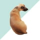 thumbnail image 2 of 1 almohada de peluche de perro de imitación 3D de 70 cm para sofá, banco, casa o hotel (sabueso), 2 of 6
